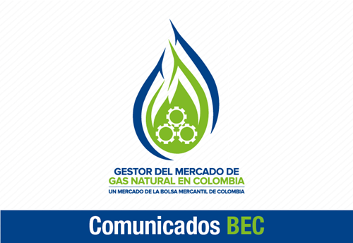 G-039 B INF Declaración de cantidades anticipadas de excedentes de gas para las Subastas de Contratos Firmes Bimestrales